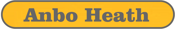 Anbo Health